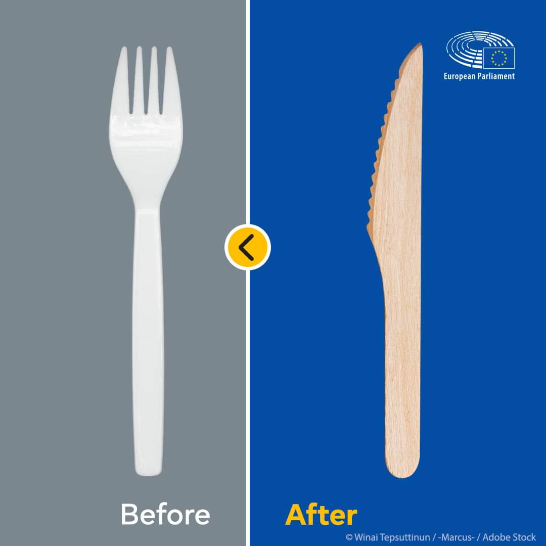 Single-use plastic fork/knife.jpg
